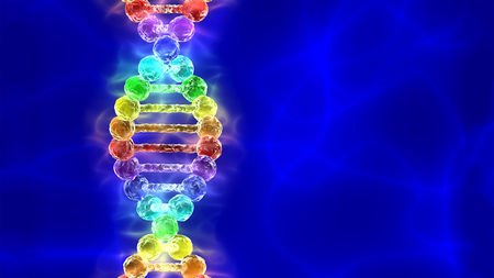 Gene Variants Increase the Risk Of Some Disease Without Regard To Cholesterol Levels 