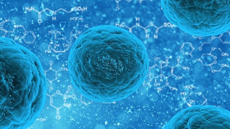 Research: Mitochondria Can Boost The Effectiveness Of Immunotherapy Research: Mitochondria Can Boost The Effectiveness Of Immunotherapy